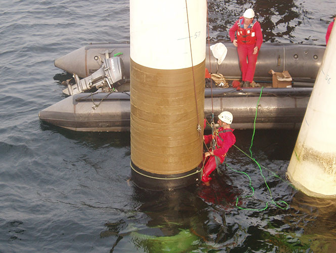 SeaShield-3